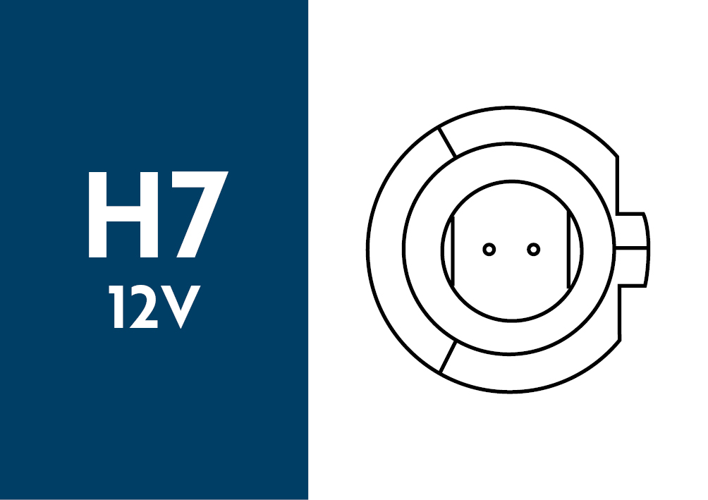 Lampade LED H7 12V - MASTER PLUS - immagine 2
